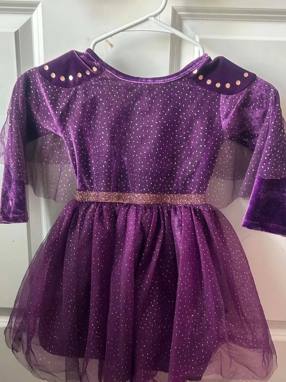 Purple Gold-Accent Girls' Velvet Princess Costume Dress